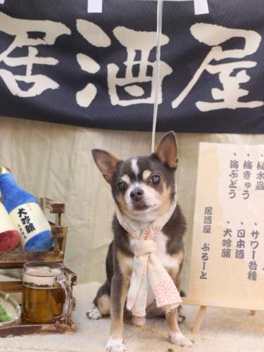 20240629メルくん